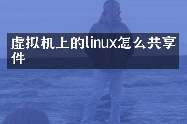 虚拟机上的linux怎么共享文件