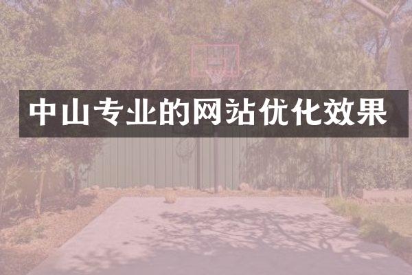 中山专业的网站优化效果