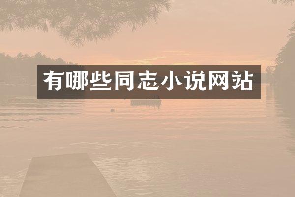 有哪些同志小说网站