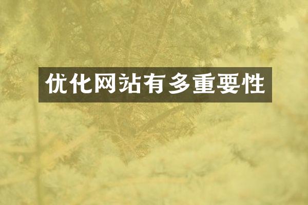 优化网站有多重要性