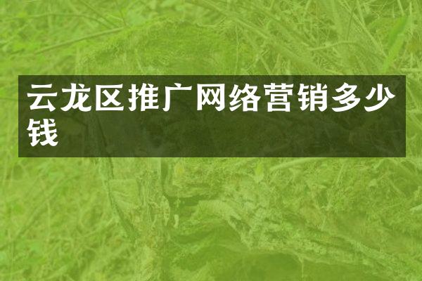 云龙区推广网络营销多少钱