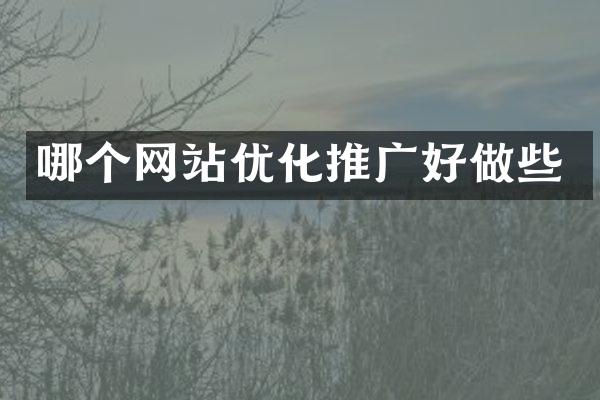 哪个网站优化推广好做些