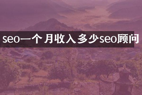 seo一个月收入多少seo顾问