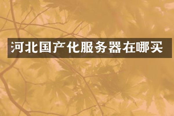 河北国产化服务器在哪买