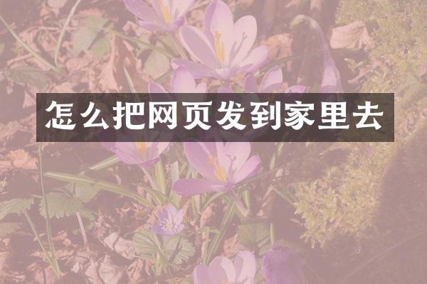 怎么把网页发到家里去