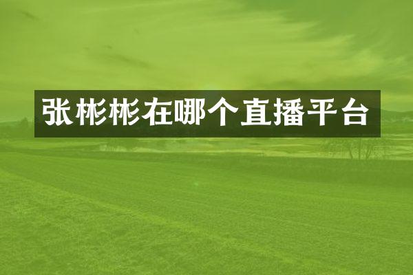 张彬彬在哪个直播平台