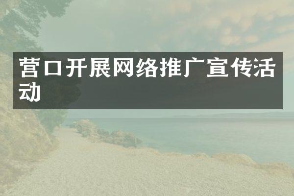营口开展网络推广宣传活动