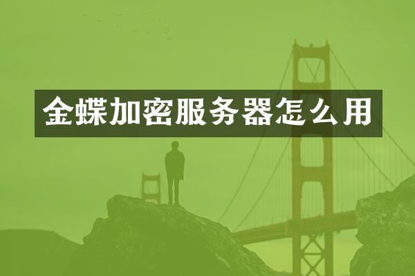 金蝶加密服务器怎么用