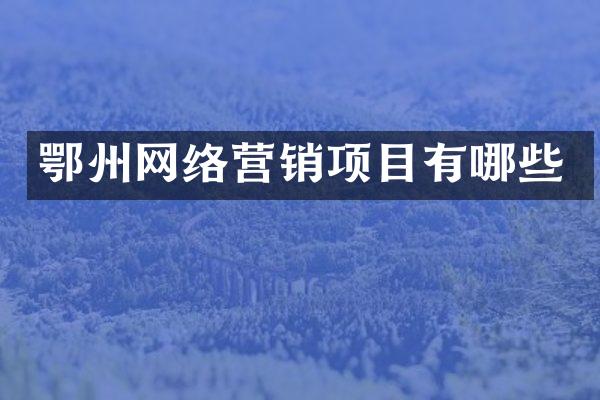 鄂州网络营销项目有哪些