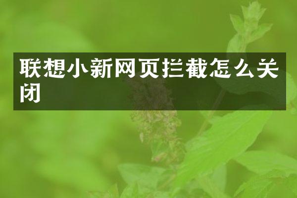 联想小新网页拦截怎么关闭