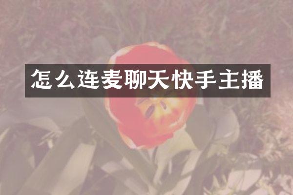 怎么连麦聊天快手主播