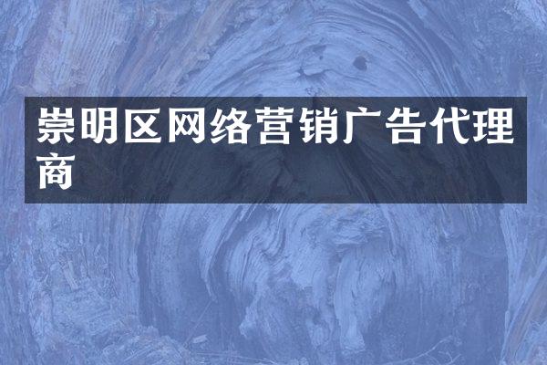 崇明区网络营销广告代理商