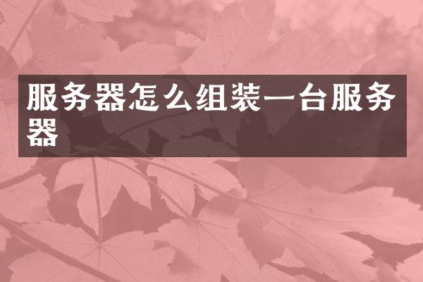 服务器怎么组装一台服务器