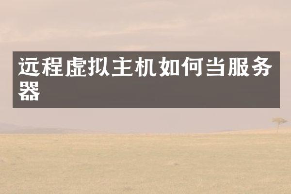 远程虚拟主机如何当服务器
