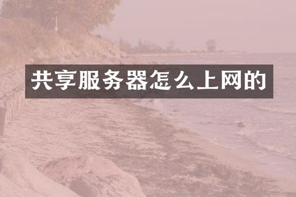 共享服务器怎么上网的