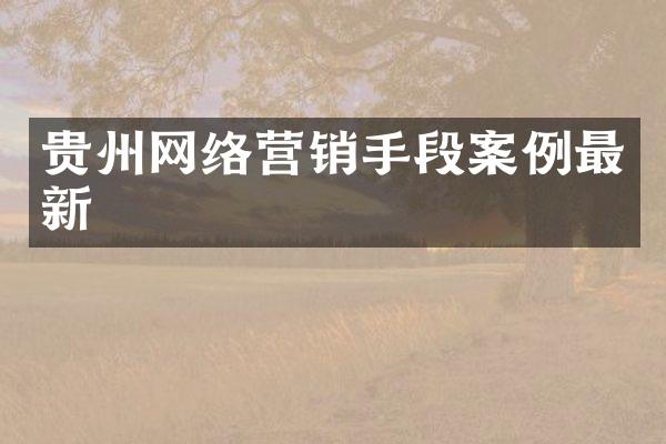 贵州网络营销手段案例最新