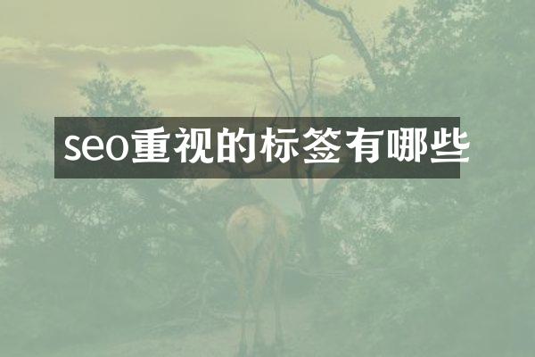 seo重视的标签有哪些