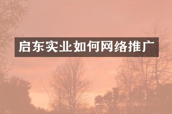 启东实业如何网络推广