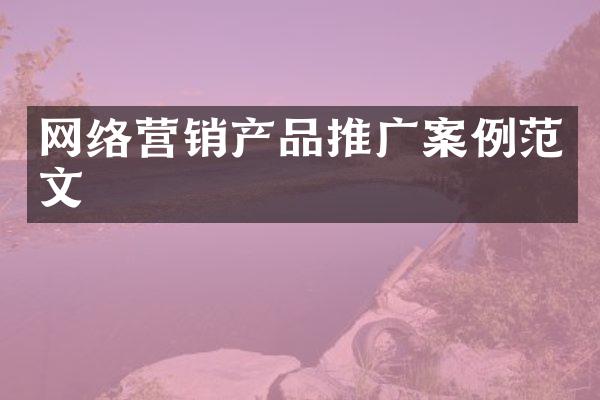 网络营销产品推广案例范文