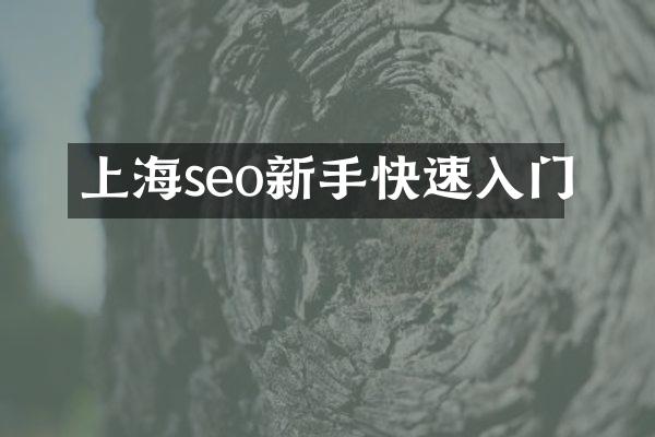 上海seo新手快速入门