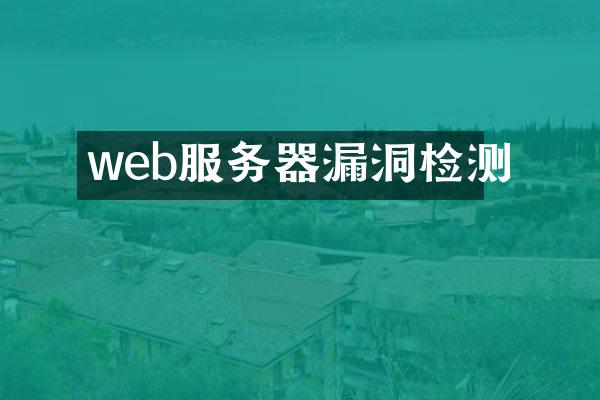 web服务器漏洞检测