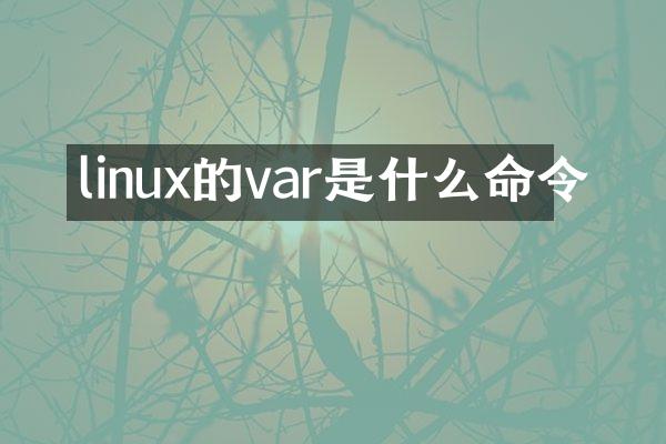 linux的var是什么命令