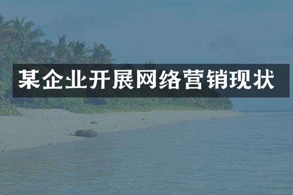 某企业开展网络营销现状