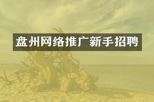 盘州网络推广新手招聘