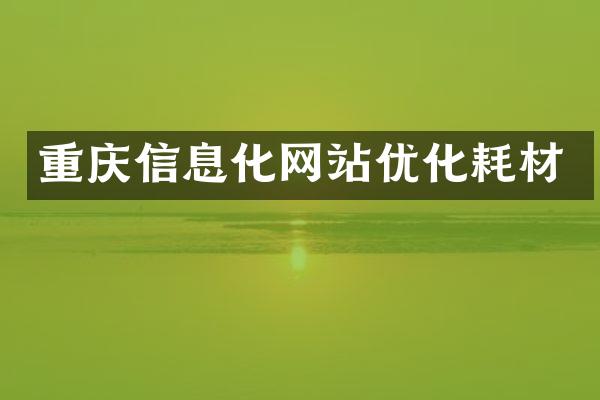 重庆信息化网站优化耗材