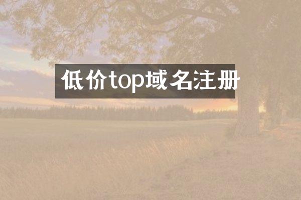 低价top域名注册