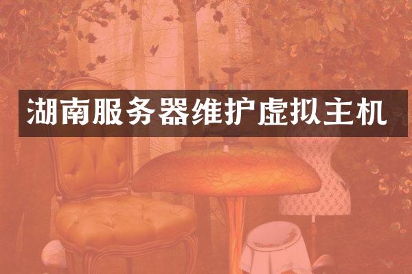 湖南服务器维护虚拟主机