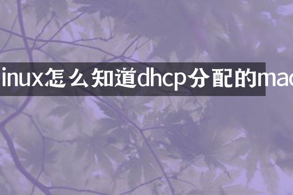 linux怎么知道dhcp分配的mac