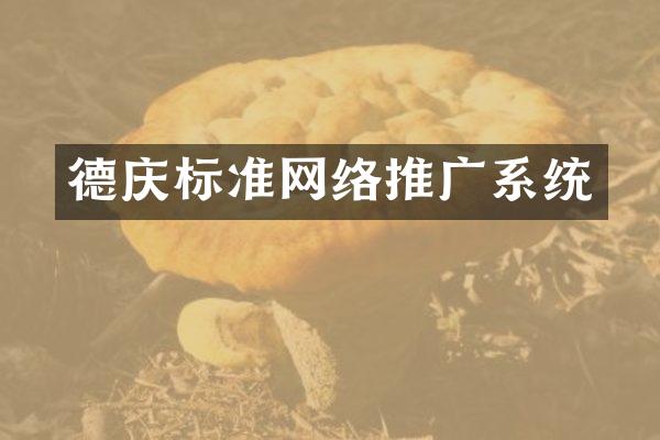 德庆标准网络推广系统