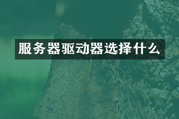 服务器驱动器选择什么