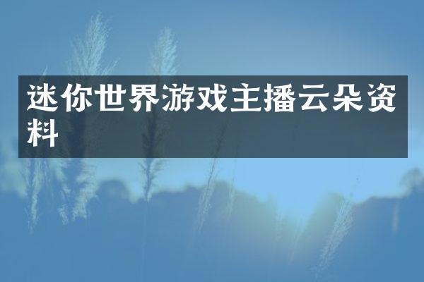 迷你世界游戏主播云朵资料