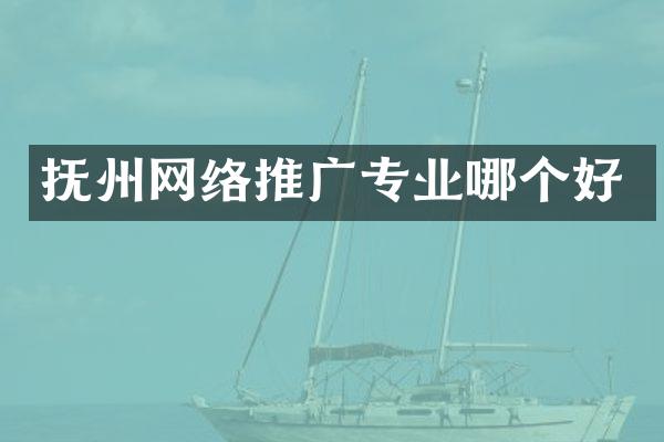 抚州网络推广专业哪个好