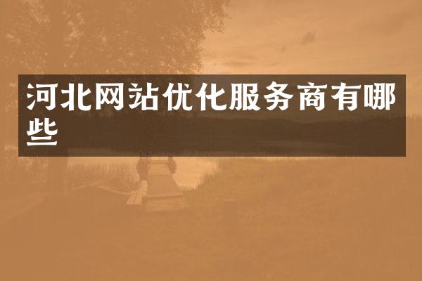 河北网站优化服务商有哪些