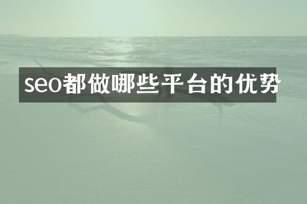 seo都做哪些平台的优势