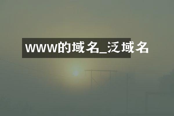 www的域名_泛域名