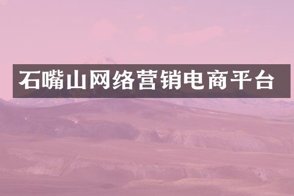石嘴山网络营销电商平台