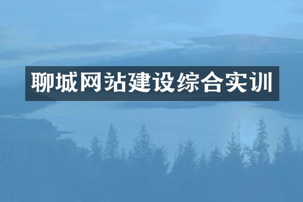 聊城网站建设综合实训