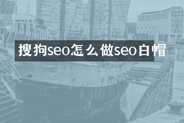 搜狗seo怎么做seo白帽