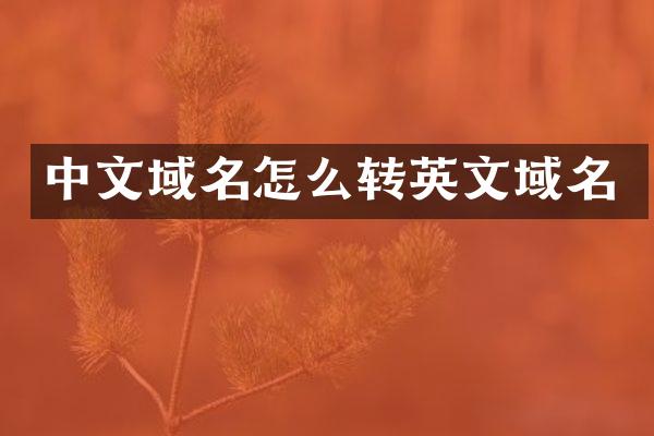 中文域名怎么转英文域名