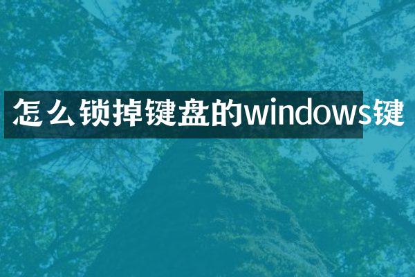 怎么锁掉键盘的windows键