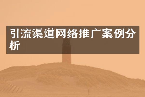引流渠道网络推广案例分析