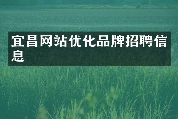 宜昌网站优化品牌招聘信息