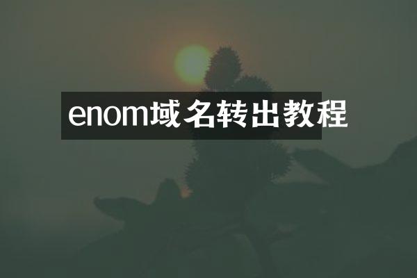 enom域名转出教程