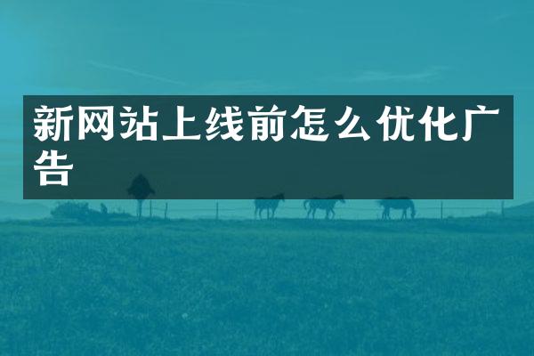新网站上线前怎么优化广告