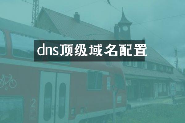 dns顶级域名配置