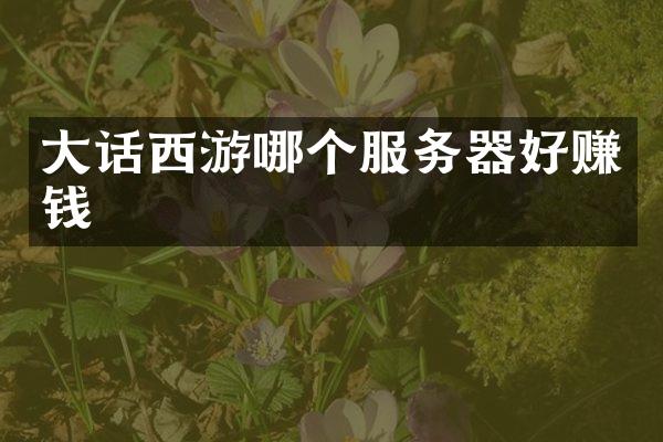 大话西游哪个服务器好赚钱
